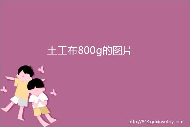 土工布800g的图片