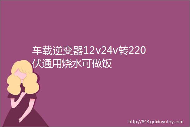 车载逆变器12v24v转220伏通用烧水可做饭