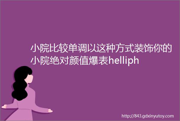 小院比较单调以这种方式装饰你的小院绝对颜值爆表helliphellip