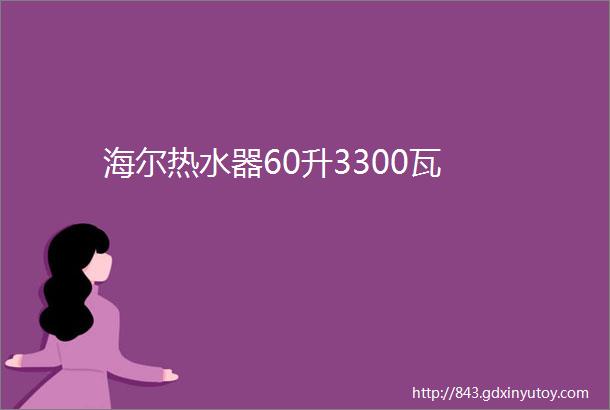 海尔热水器60升3300瓦