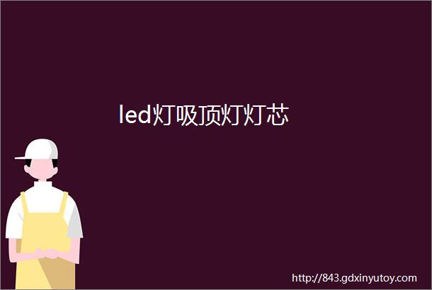 led灯吸顶灯灯芯