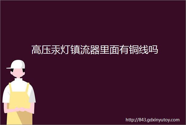 高压汞灯镇流器里面有铜线吗