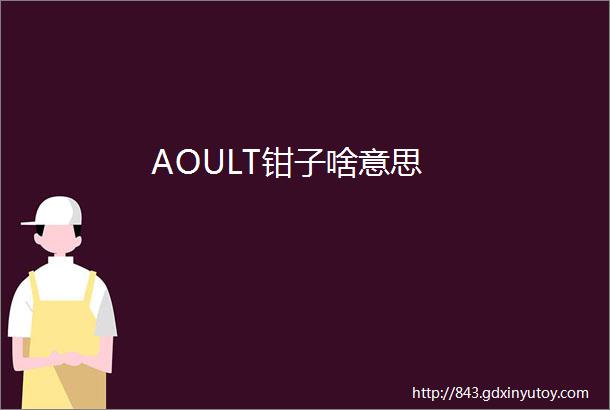 AOULT钳子啥意思