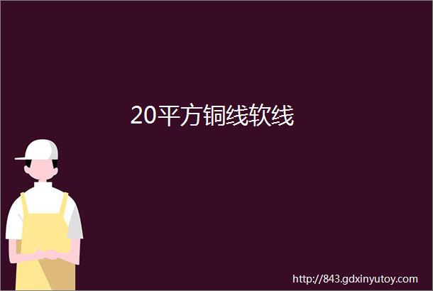 20平方铜线软线