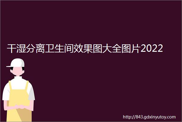 干湿分离卫生间效果图大全图片2022