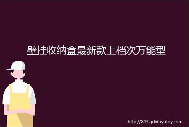 壁挂收纳盒最新款上档次万能型