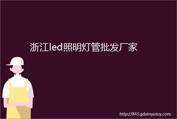 浙江led照明灯管批发厂家