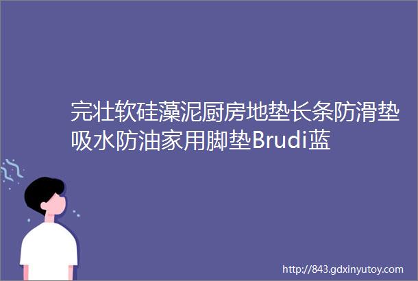 完壮软硅藻泥厨房地垫长条防滑垫吸水防油家用脚垫Brudi蓝