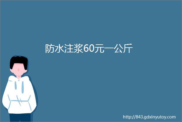 防水注浆60元一公斤