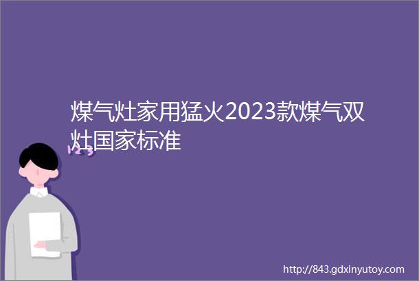 煤气灶家用猛火2023款煤气双灶国家标准