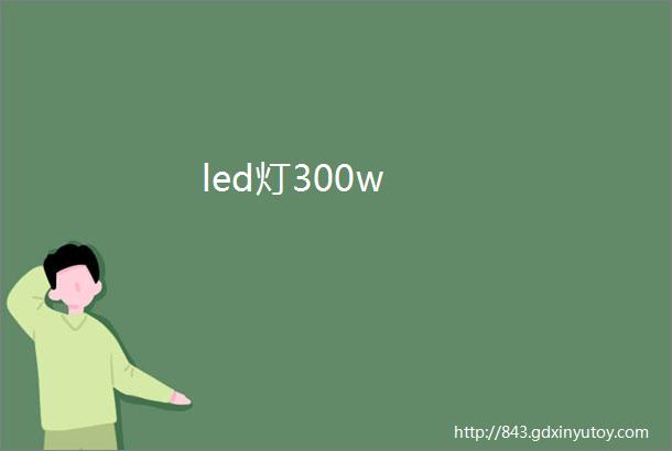 led灯300w