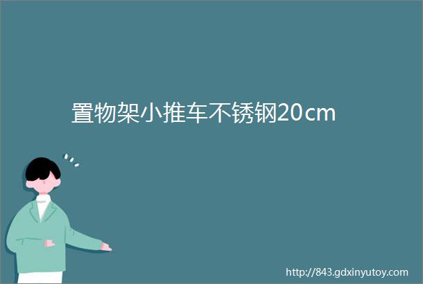 置物架小推车不锈钢20cm